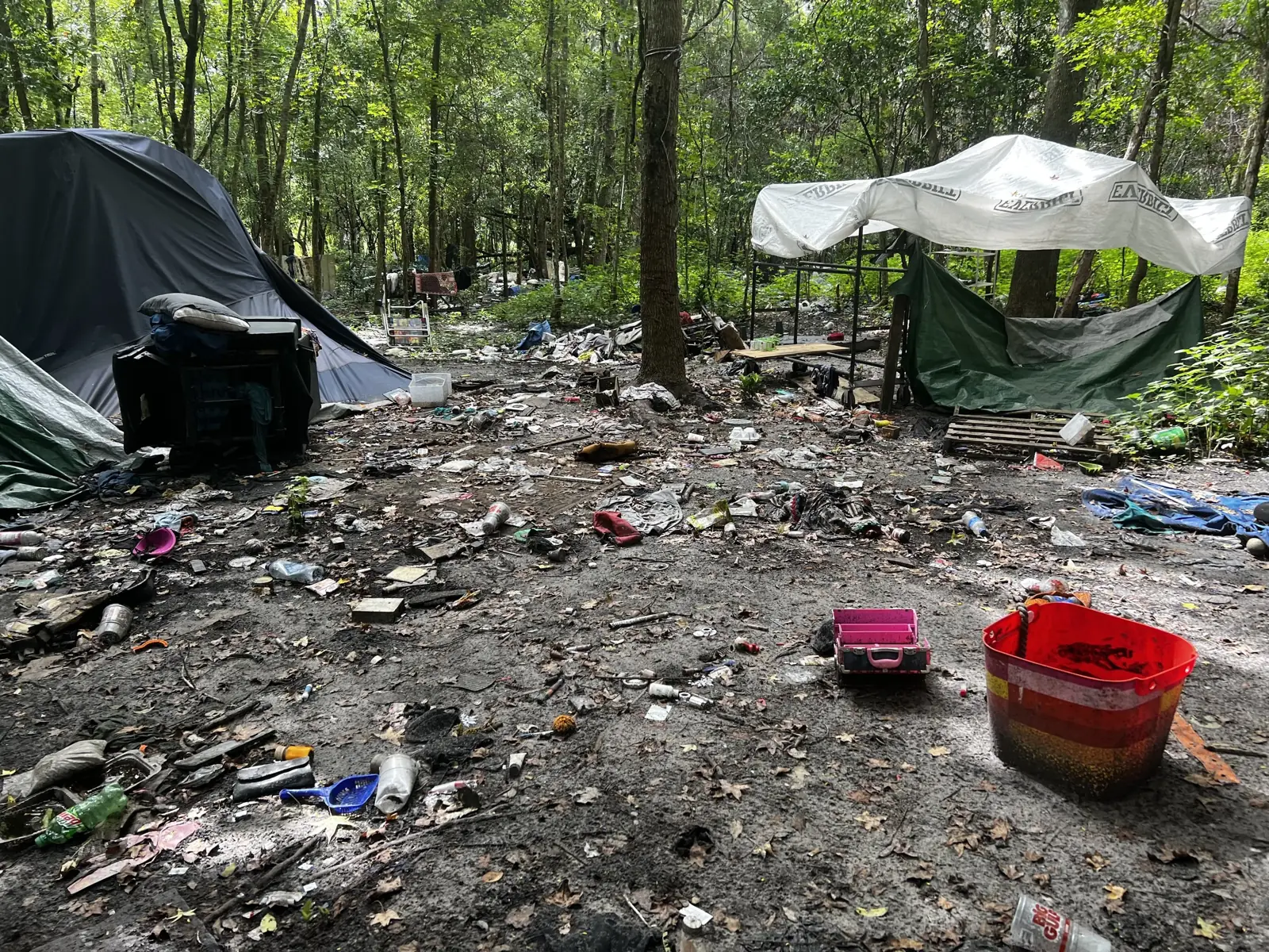 A homeless encampment in the woods with tents and tarps